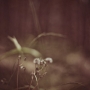 sympathy for the unusual - 2012-1